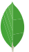 MongoDB logo